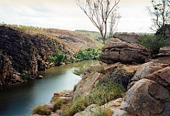 2000 - Australie 241T